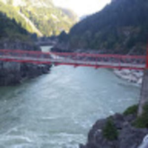 Meet your Posher, Gavin